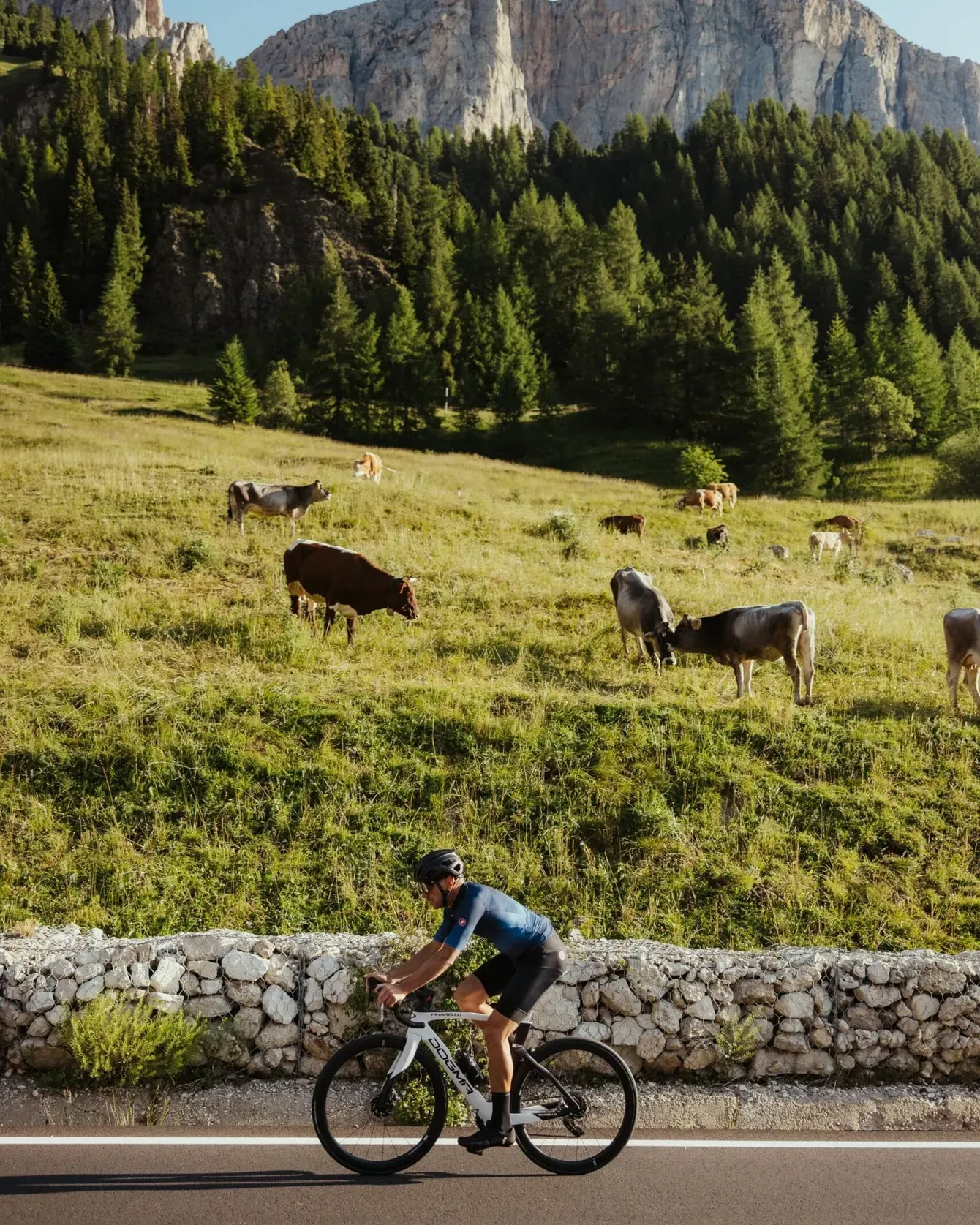 Cyclist riding along a stone wall by a grassy hillside with cows, dense forest, and rocky mountains in the background.