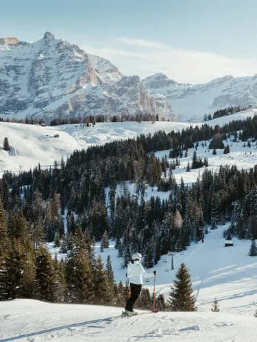 Skier in white and black gear on a snow-covered slope with evergreen forest and snowy mountains in the background.
