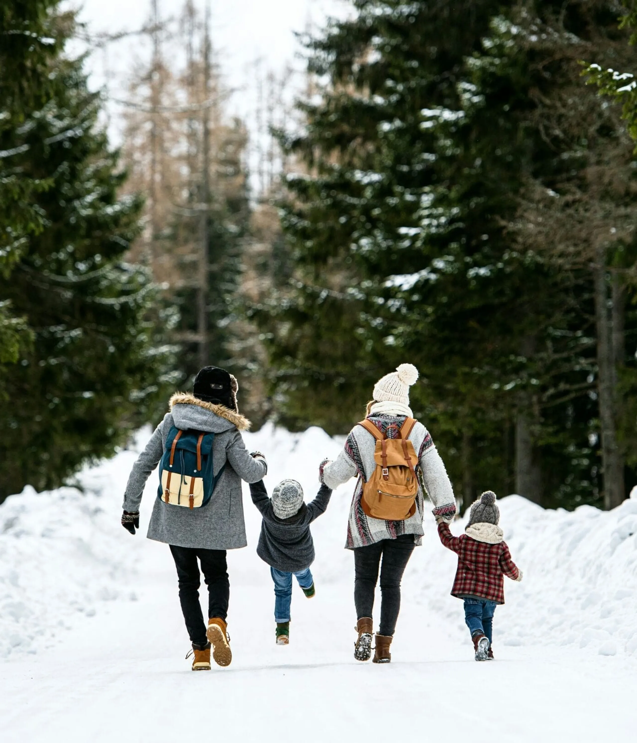 Family of four in winter coats and hats walk hand-in-hand down a snowy forest road with tall evergreen trees.