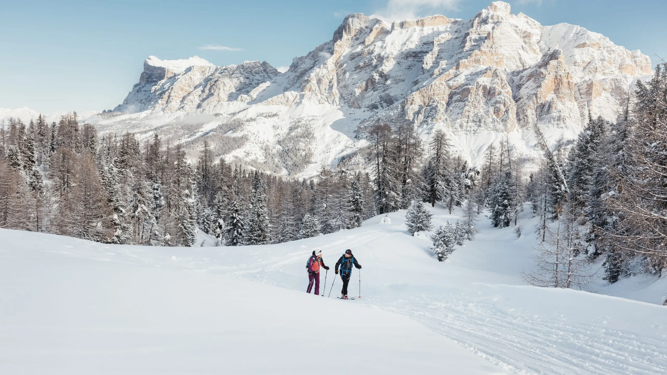 Two hikers with ski poles traverse a snowy alpine meadow, backed by snow‑capped trees and jagged mountain peaks.