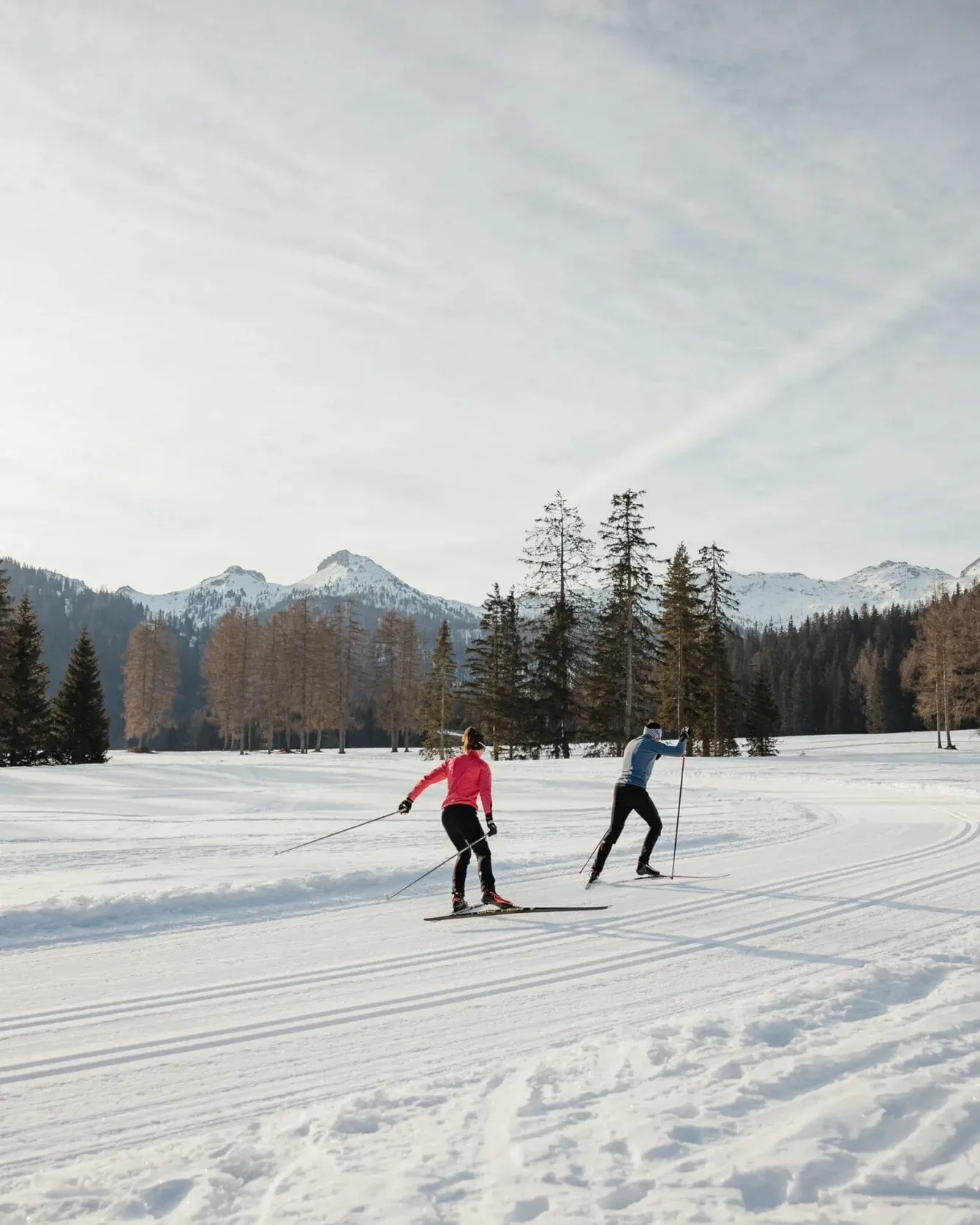 Cross-country skiers glide on a snowy field near a wooden cabin with pine trees and snow-capped mountains in the distance.