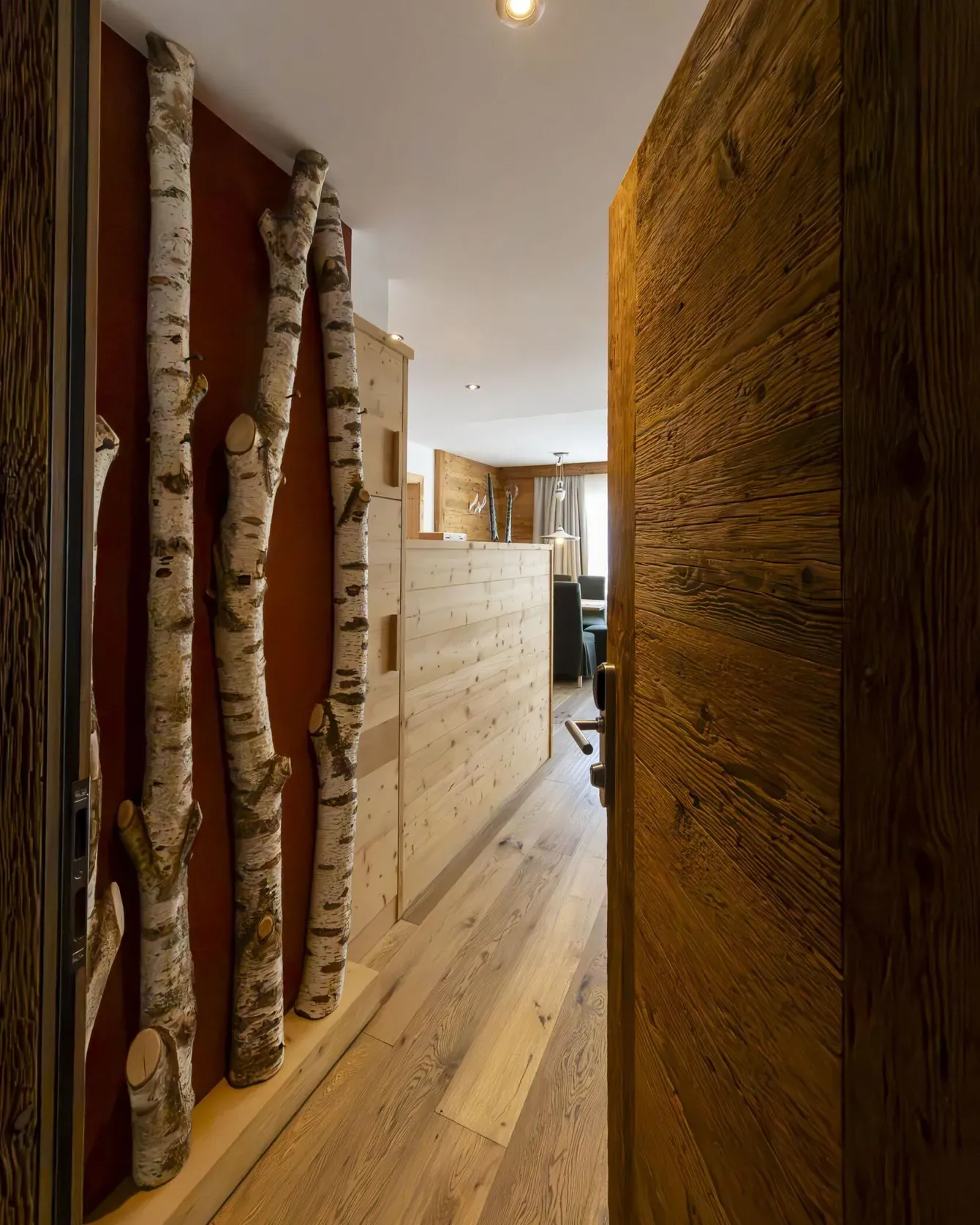Birch tree trunks decor along a warm wooden hallway with light wood flooring and partition, interior shot