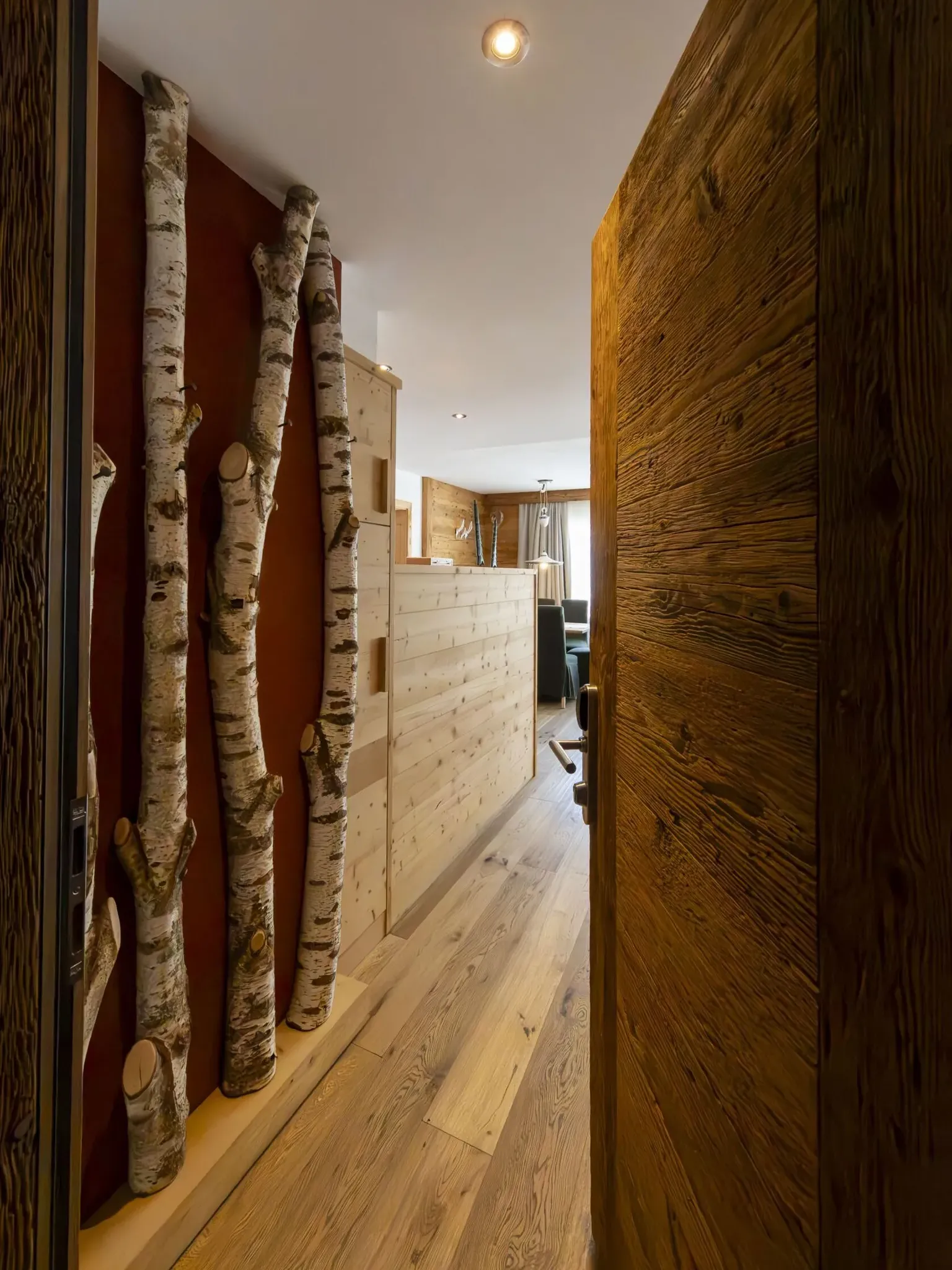 Birch tree trunks decor along a warm wooden hallway with light wood flooring and partition, interior shot