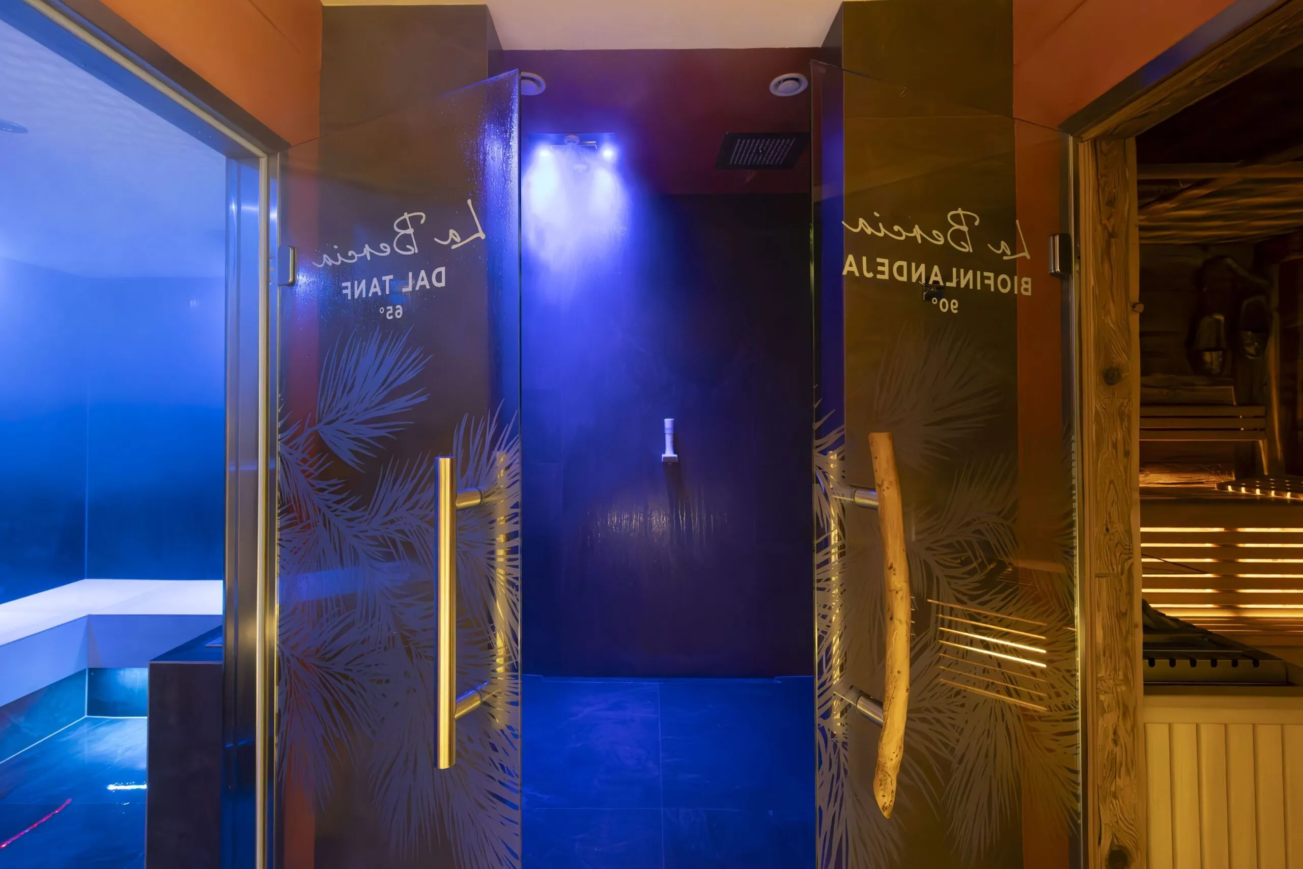 Glass doors with frosted pine pattern flank a blue-lit indoor shower stall, wooden rails, and warm lit sauna area in background.
